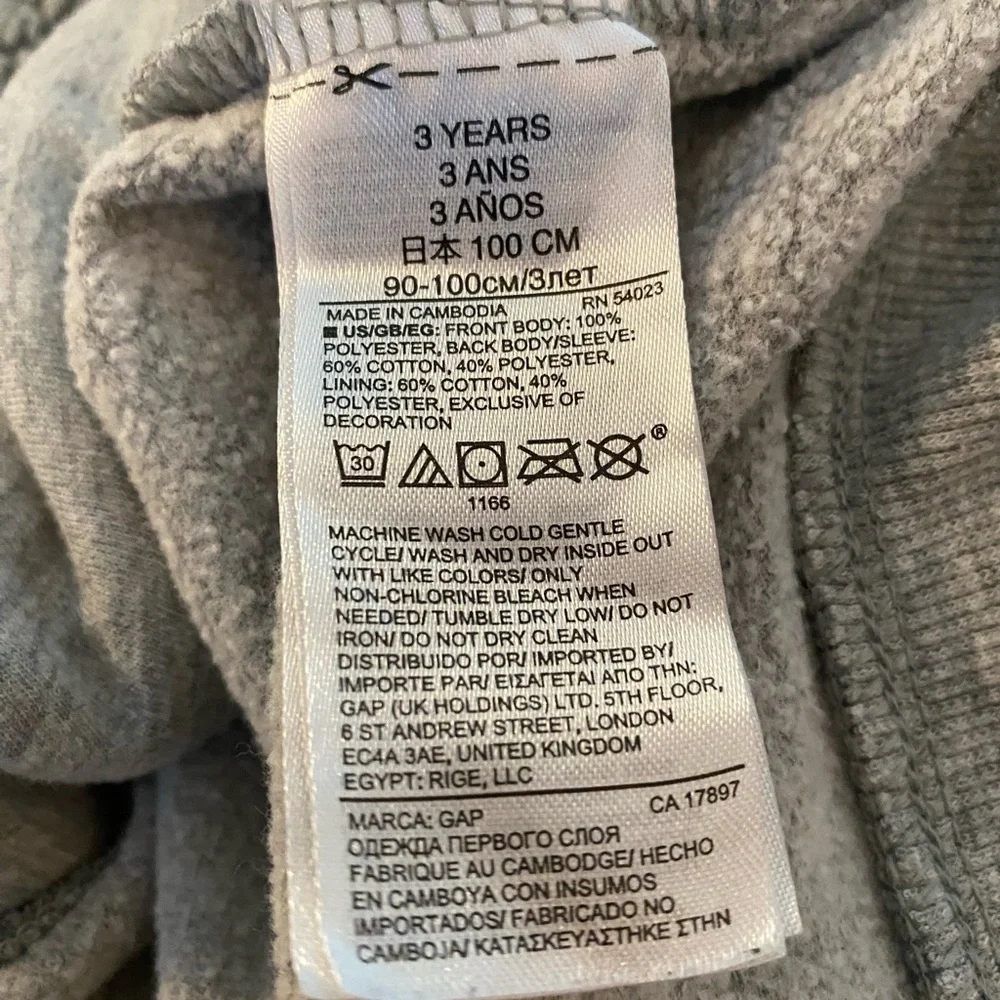 Baby Gap Gray Fuzzy Wolf Sweatshirt Size 3